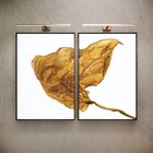 Kit 2 Telas Canvas Com Moldura Folha Seca