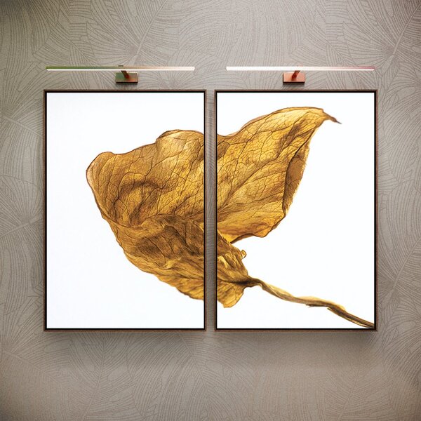 Kit 2 Telas Canvas Com Moldura Folha Seca