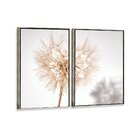 Kit 2 Telas Canvas Com Moldura Fundo Branco Dente De Leão