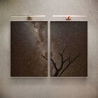 Kit 2 Telas Canvas Com Moldura Galho E Céu Estrelado