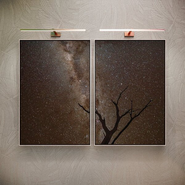 Kit 2 Telas Canvas Com Moldura Galho E Céu Estrelado