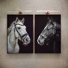 Kit 2 Telas Canvas Com Moldura Imagem Cavalos