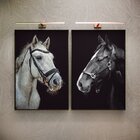 Kit 2 Telas Canvas Com Moldura Imagem Cavalos