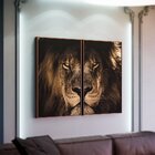 Kit 2 Telas Canvas Com Moldura Lion