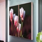 Kit 2 Telas Canvas Com Moldura Tulipas Branca E Vermelha