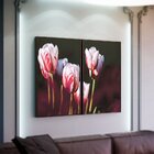 Kit 2 Telas Canvas Com Moldura Tulipas Branca E Vermelha