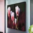 Kit 2 Telas Canvas Com Moldura Tulipas Branca E Vermelha