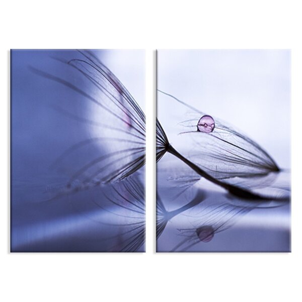 Kit 2 Telas Decorativas Dente-de-leão E Gota De Orvalho