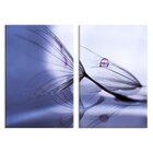 Kit 2 Telas Decorativas Dente-de-leão E Gota De Orvalho