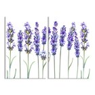 Kit 2 Telas Decorativas Flor De Lavanda