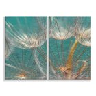 Kit 2 Telas Decorativas Flor Dente-de-leão