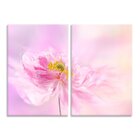 Kit 2 Telas Decorativas Flor Zínia Rosa