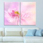 Kit 2 Telas Decorativas Flor Zínia Rosa