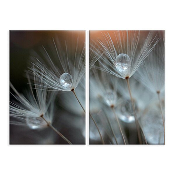 Kit 2 Telas Decorativas Natureza Dente-de-leão