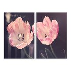 Kit 2 Telas Decorativas Papoula Rosa