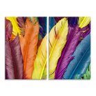 Kit 2 Telas Decorativas Penas Coloridas