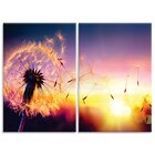 Kit 2 Telas Decorativas Sunset Dente-de-leão