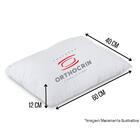 Kit 2 Travesseiros Fiberpillow Basic Orthocrin