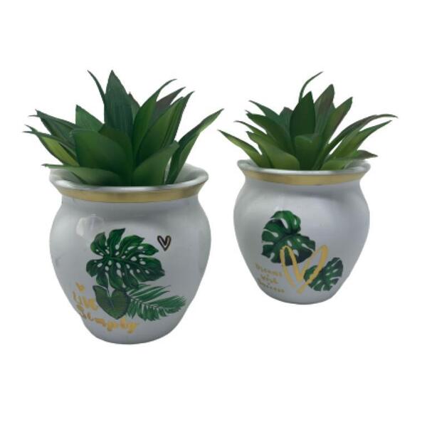 Kit 2 Vasinhos Com Estampa Costela De Adão