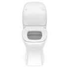 Kit 2 Vaso Sanitários Rimless Com Assento Pp Softclose Vip Ce