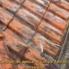 Kit 2x Limpa Telhas Dubom 5l