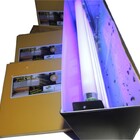 Kit 30 Refil Adesivos 45x22 Amarelo Moscas Mosquito