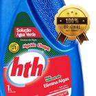 Kit 3 Algicida Choque Hth Solução Água Verde 1 Litro Piscina