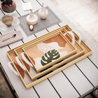 Kit 3 Bandejas Decorativas Costela De Adão Verde Clara