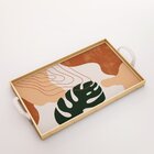 Kit 3 Bandejas Decorativas Costela De Adão Verde Clara