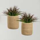 Kit 3 Buquês De Capim Planta Artificial 39cm Para Decoração E