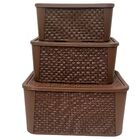 Kit 3 Caixas Organizadoras Tampa Rattan Retangular Plasnew -
