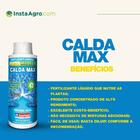 Kit 3 Calda Bordalesa Max Concentrado Insetimax - 100ml