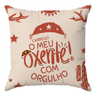 Kit 3 Capas Almofadas Decorativas Sertãozinho 45x45 Id Decor