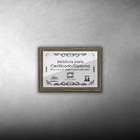 Kit 3 Certificados/diplomas A4 Com Tela De Acetato E Mdf - Mo