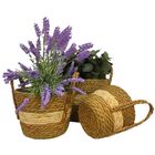 Kit 3 Cestos Rusticos Decorativos Fibra Natural Partna 4028be