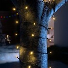 Kit 3 Cordão De Led Branco Quente 100 Lâmpadas Fixo Fio Verde