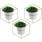 Kit 3 Floreiras Modelo Hexa Parede Pendurar Plantas Schmitt D