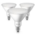Kit 3 Lâmpadas Philips Led Spot Par38 14w 6500k