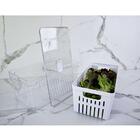 Kit 3 Organizadores De Geladeira Com Escorredor 5l Caixas Plá