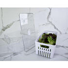 Kit 3 Organizadores De Geladeira Com Escorredor 5l Caixas Plá