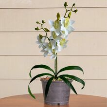 Kit 3 Orquídeas Artificial Dançante Com Toque Natural E Elega