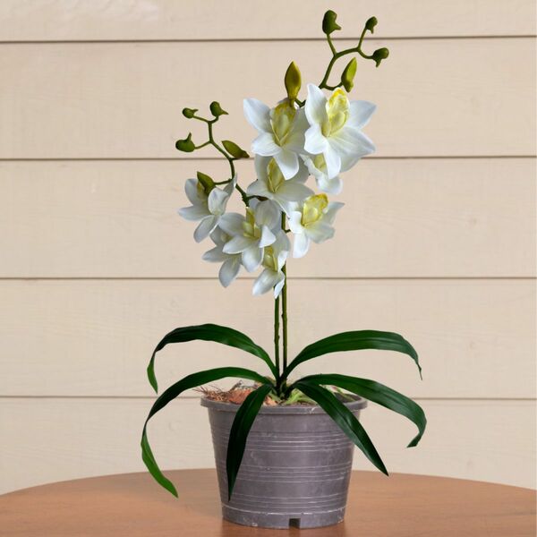 Kit 3 Orquídeas Artificial Dançante Com Toque Natural E Elega
