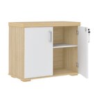 Kit 3 Peças Com Mesa Para Escritório Presidente, Armário Mult