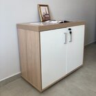 Kit 3 Peças Com Mesa Para Escritório Presidente, Armário Mult