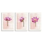 Kit 3 Placas Decorativa Flor Rosa 20x30
