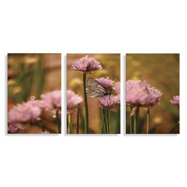 Kit 3 Placas Decorativas Borboleta  20x30