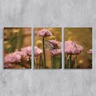 Kit 3 Placas Decorativas Borboleta  20x30