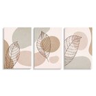 Kit 3 Placas Decorativas Folhas E Formas 20x30