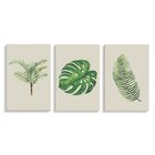 Kit 3 Placas Decorativas Mix De Folhas 20x30