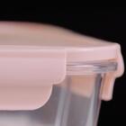 Kit 3 Potes De Vidro Borossilicato 680ml Tampa Hermética Capu